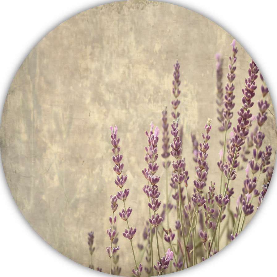 Paarse Lavendel in Bloei aluminium muurcirkel