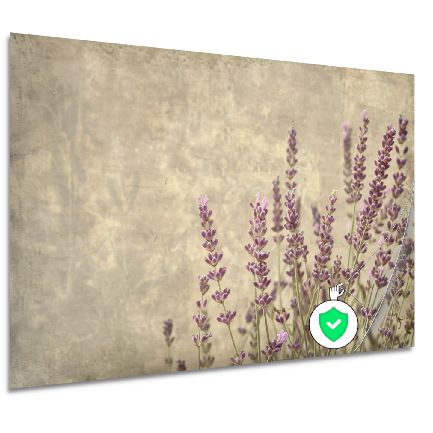 Paarse Lavendel in Bloei poster