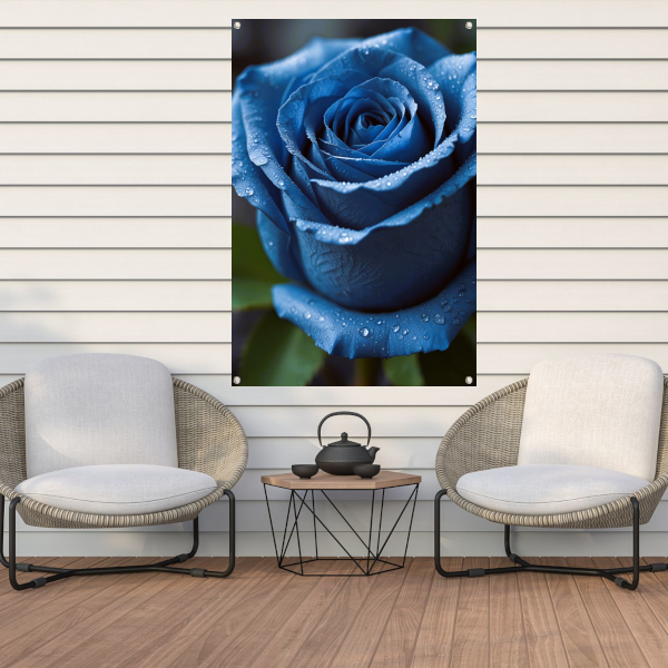 Blauwe roos bedauwd in ochtendlicht tuinposter