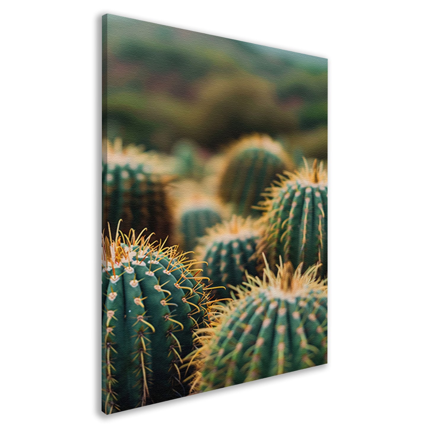 Close-up van Groene Cactussen canvas