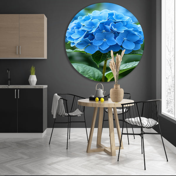 Close-up van een blauwe hortensia bloem aluminium muurcirkel