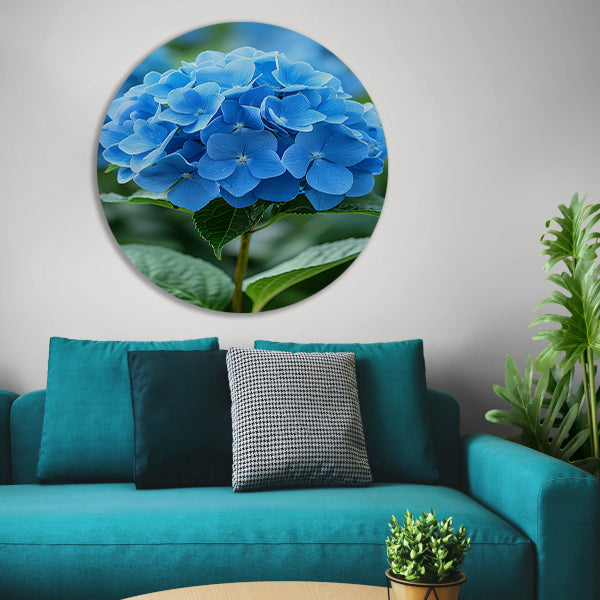 Close-up van een blauwe hortensia bloem aluminium muurcirkel