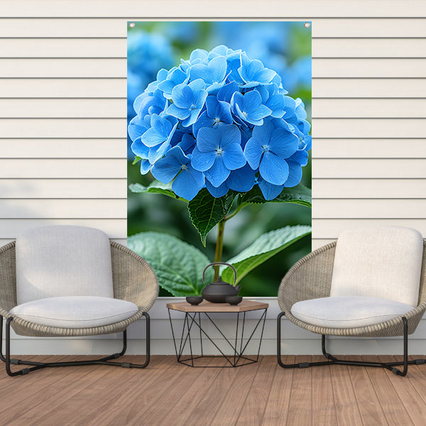 Close-up van een blauwe hortensia bloem tuinposter