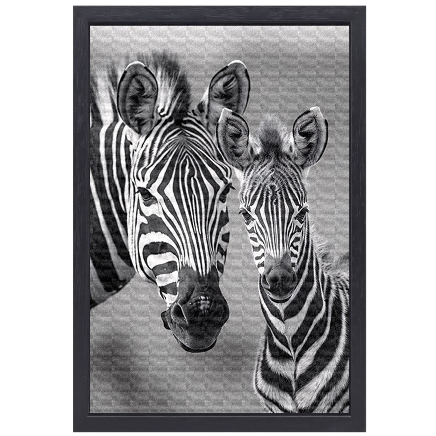 Zebra moeder en veulen in zwart-wit canvas met baklijst