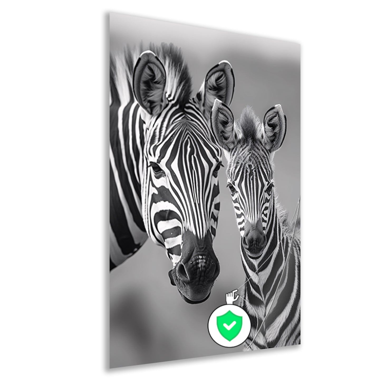 Zebra moeder en veulen in zwart-wit poster