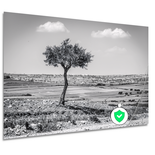 Eenzame boom op het platteland poster