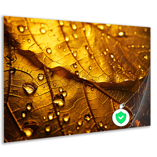 Waterdruppels op goudkleurig blad in detail poster