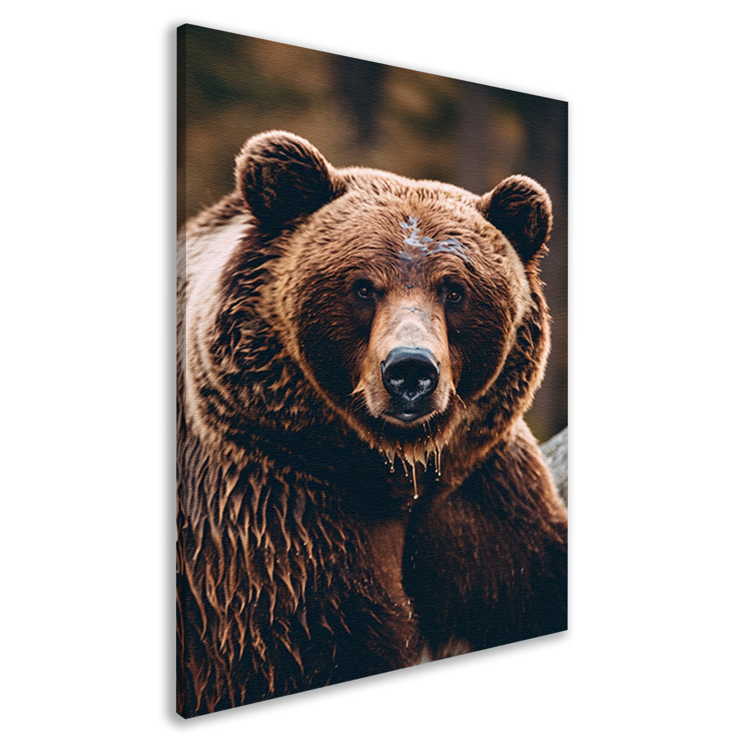 Close-up portret van een bruine beer canvas