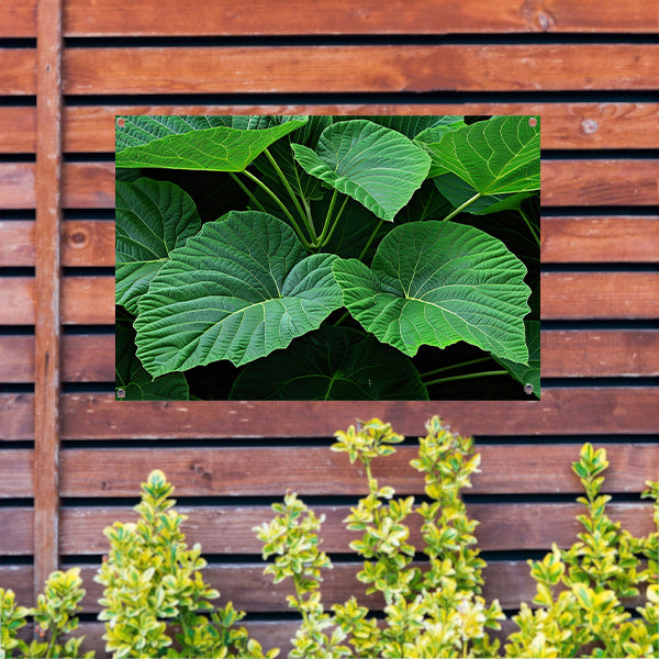 Gedetailleerde bladeren in rijke groene tinten tuinposter