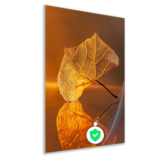 Gedetailleerde oranje blad met gouden reflectie poster