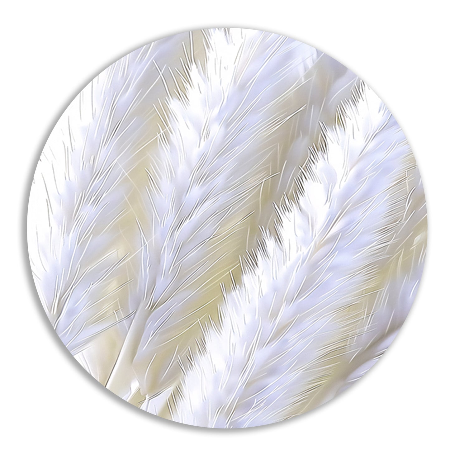Digitale print van witte pluimen aluminium muurcirkel