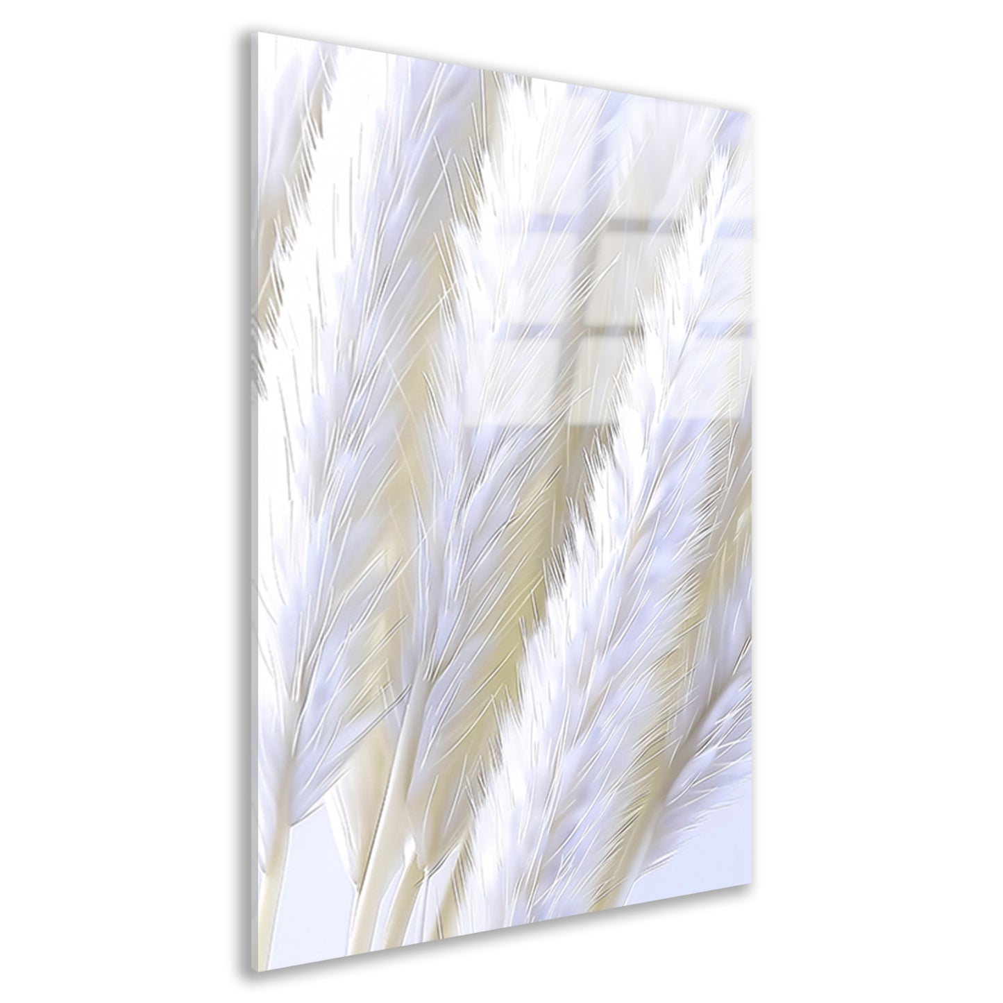 Digitale print van witte pluimen acrylglas