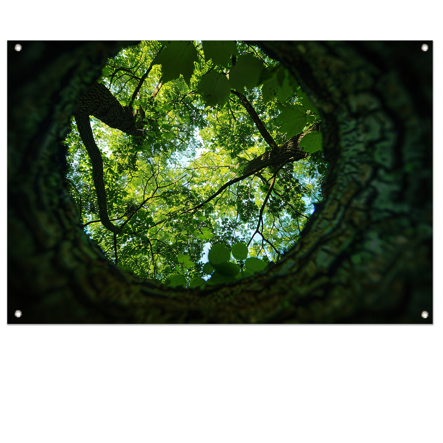 Natuurlijke lens op groene boomkruinen tuinposter