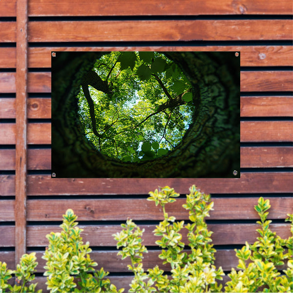 Natuurlijke lens op groene boomkruinen tuinposter