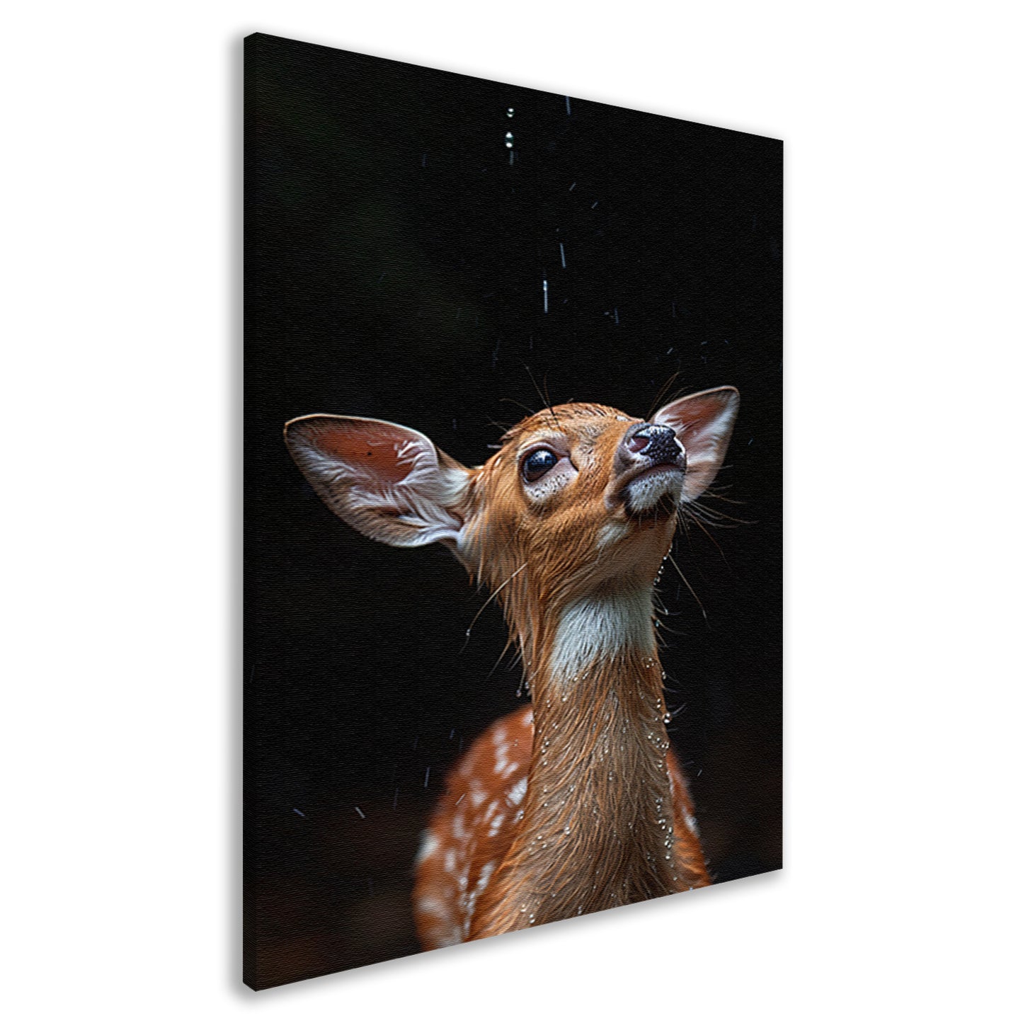 Jonge hert in de regen canvas