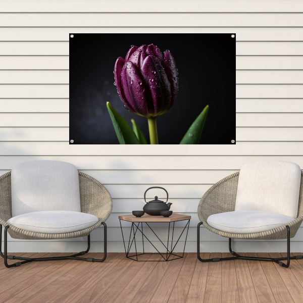 Paarse Tulp in Ochtenddauw Close-up tuinposter