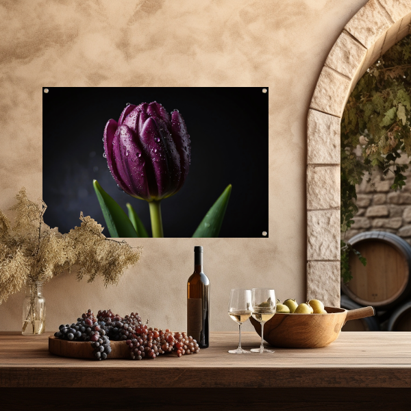 Paarse Tulp in Ochtenddauw Close-up tuinposter