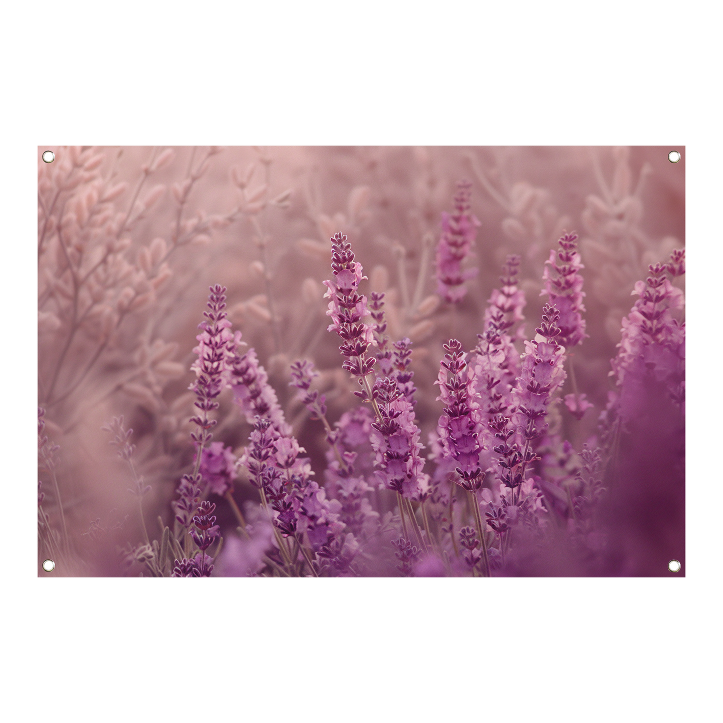 Sereen lavendelveld in zachte pasteltinten tuinposter