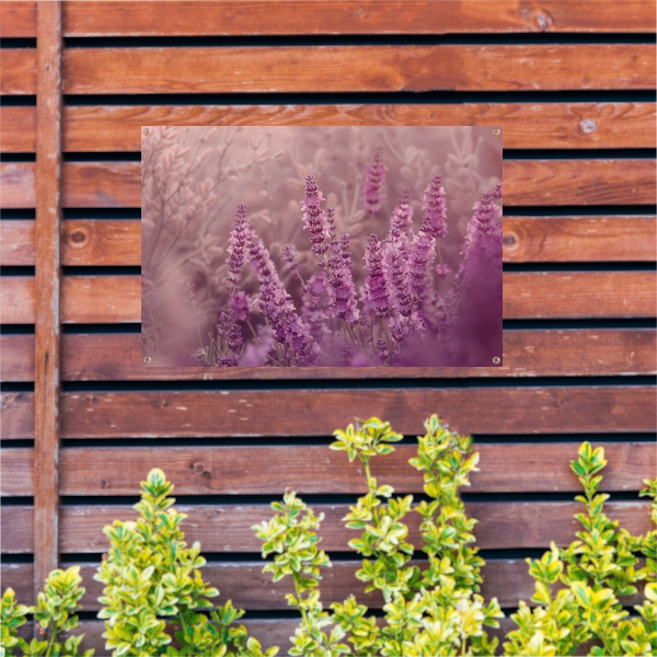 Sereen lavendelveld in zachte pasteltinten tuinposter
