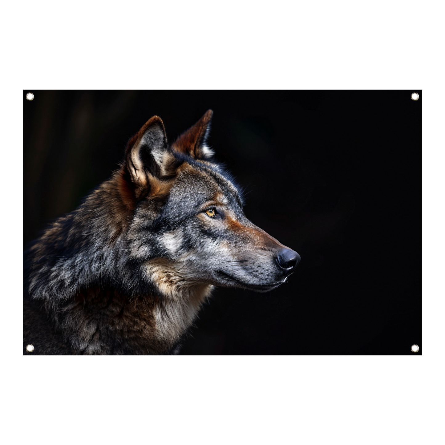 Intense Blik van een Wolf in Duisternis tuinposter