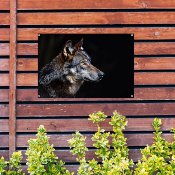 Intense Blik van een Wolf in Duisternis tuinposter