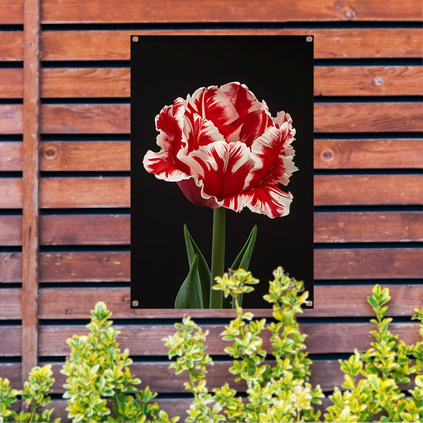 Prachtige realistische schilderij van een tulp tuinposter