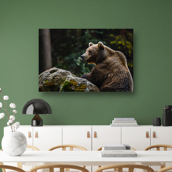 Beer rustend op een rots in de natuur canvas