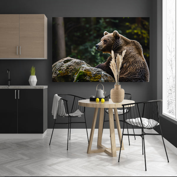 Beer rustend op een rots in de natuur canvas