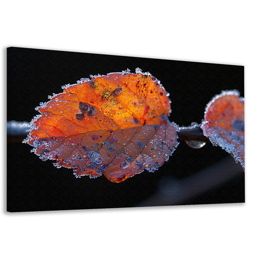 IJsglanzende wintertak canvas