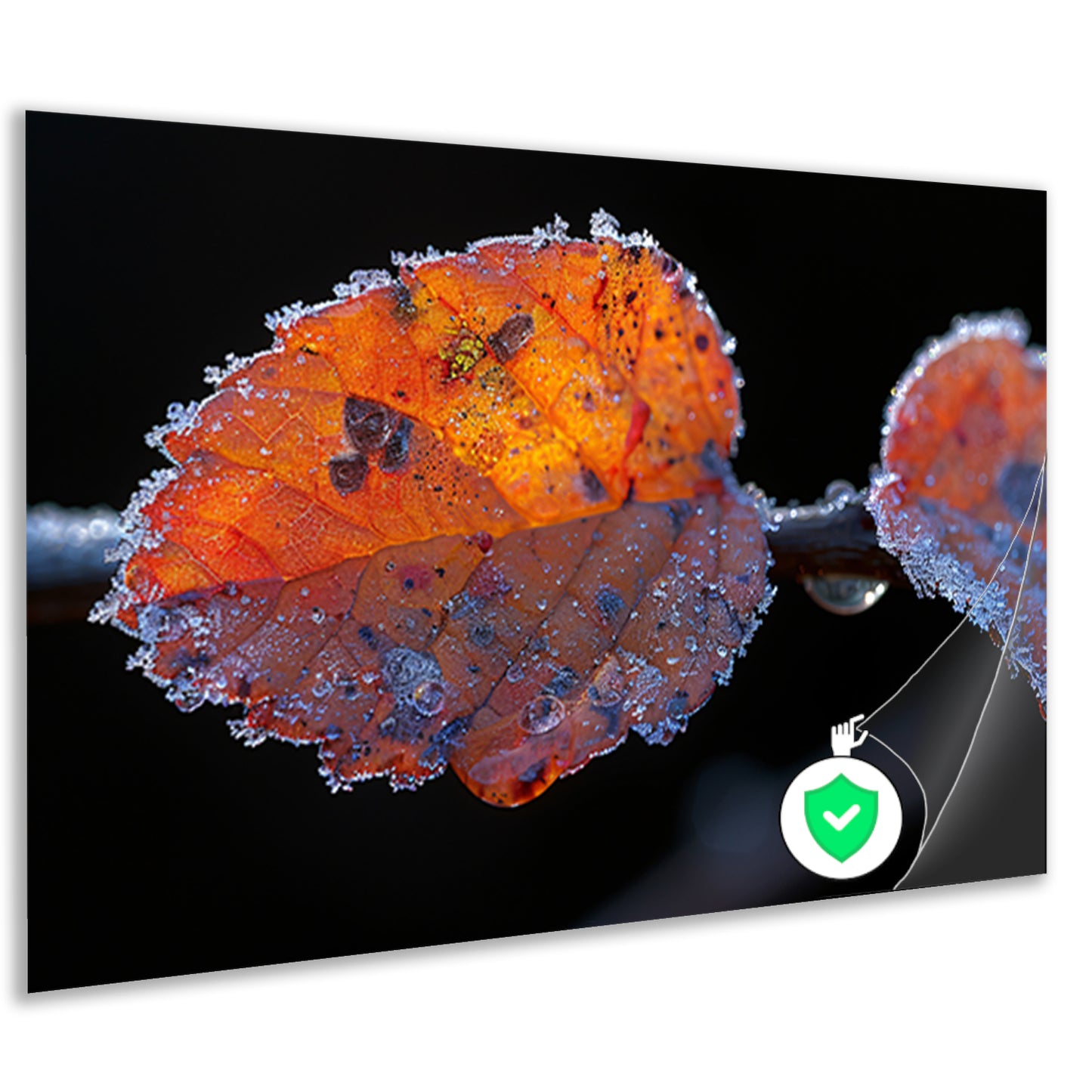 IJsglanzende wintertak poster