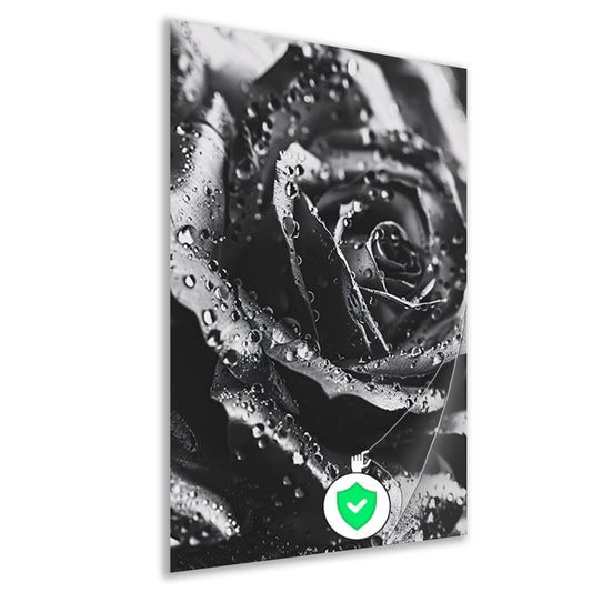 Zwart-witte roos met dauwdruppels close-up poster