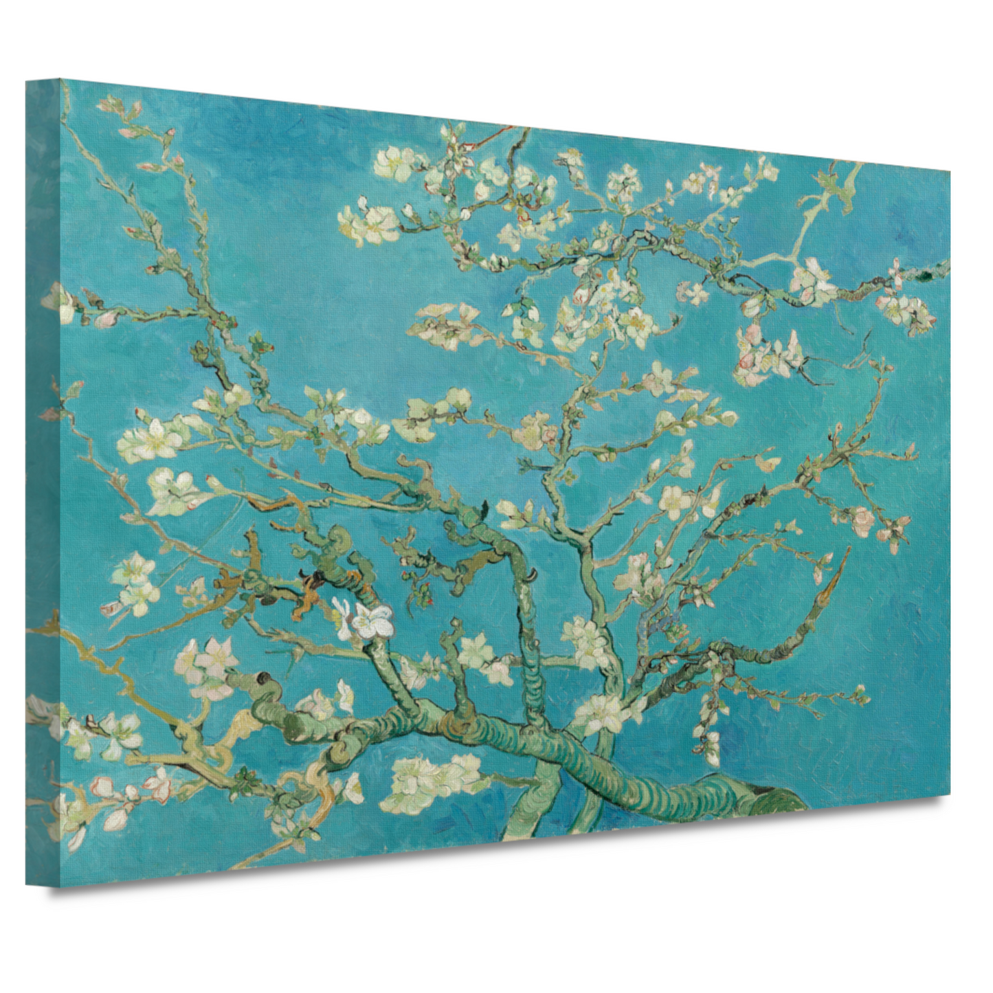 Amandelbloesem - Vincent van Gogh canvas
