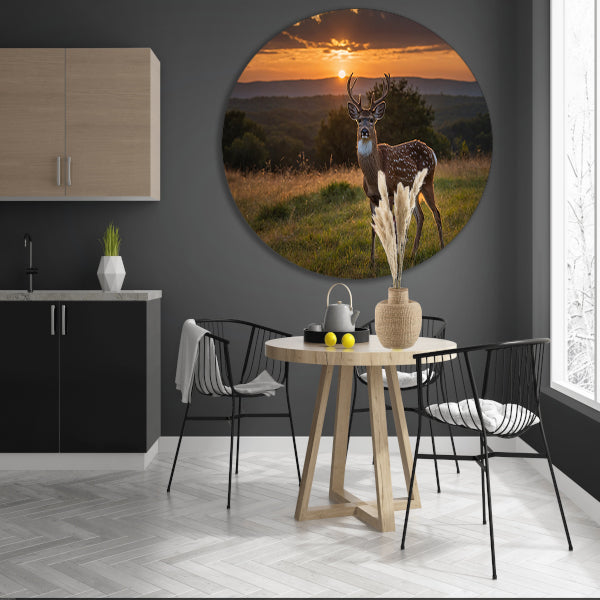 Hert in grasveld bij zonsondergang aluminium muurcirkel