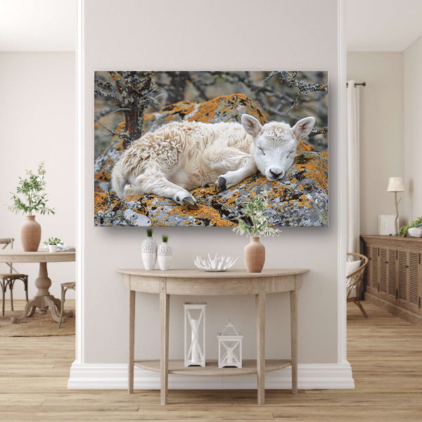 Slapende lam op rots canvas