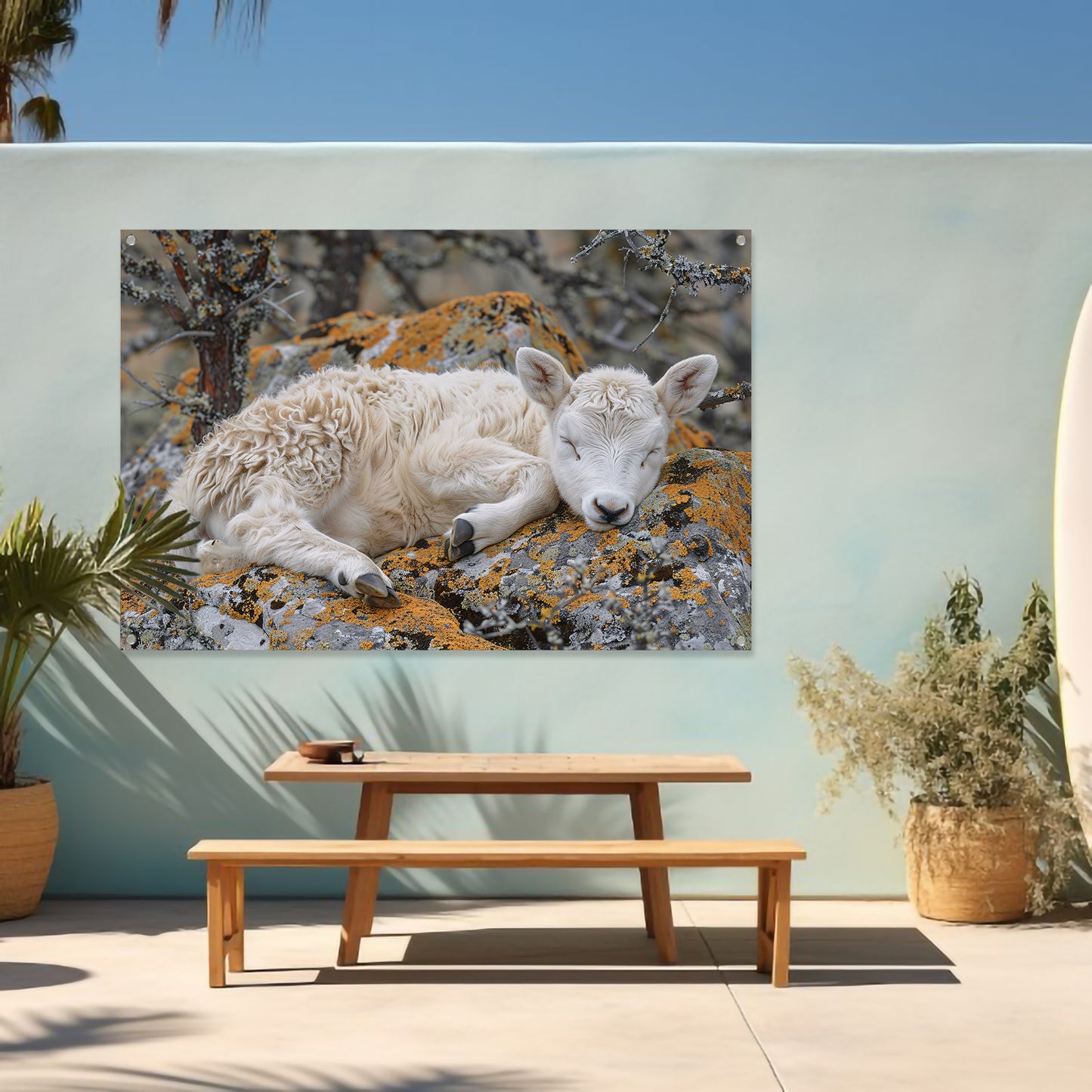 Slapende lam op rots tuinposter