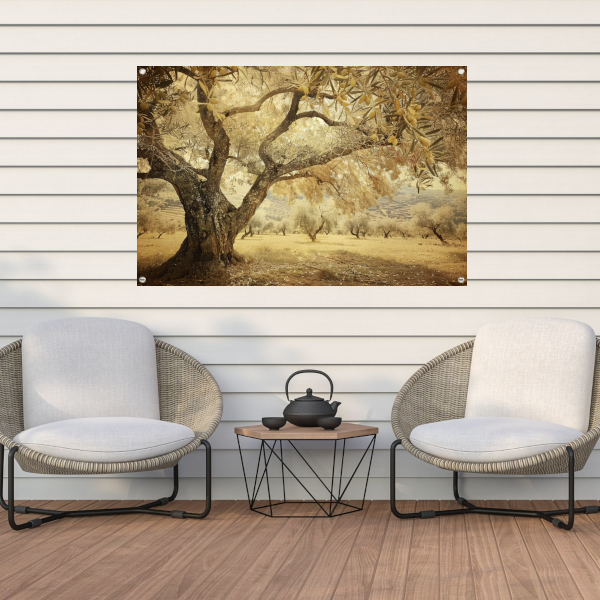 Olijfboom onder Provençaalse hemel tuinposter