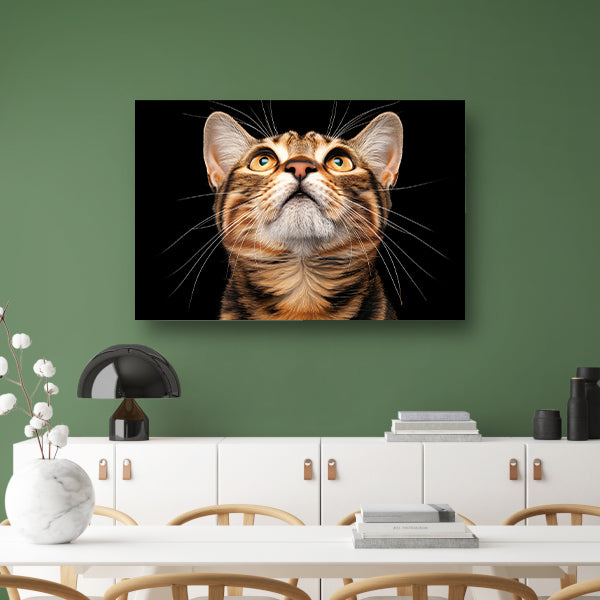 Nabij beeld van een nieuwsgierige kat poster