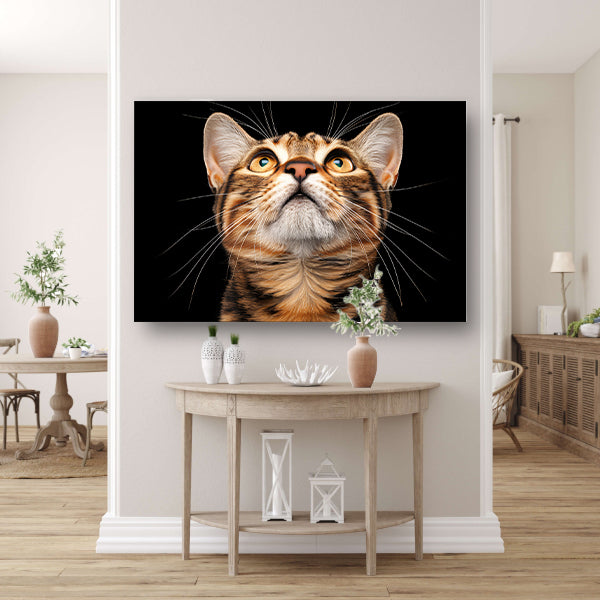 Nabij beeld van een nieuwsgierige kat poster