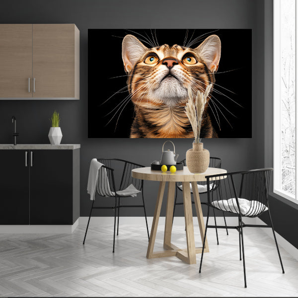 Nabij beeld van een nieuwsgierige kat poster
