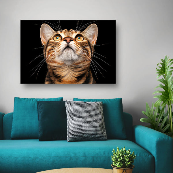 Nabij beeld van een nieuwsgierige kat poster