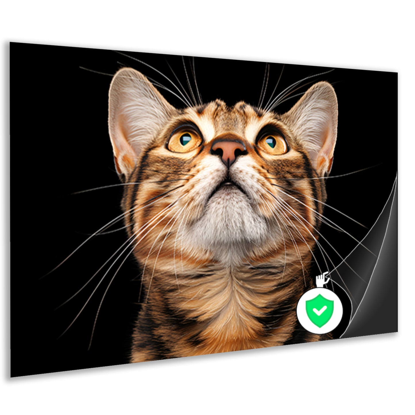 Nabij beeld van een nieuwsgierige kat poster