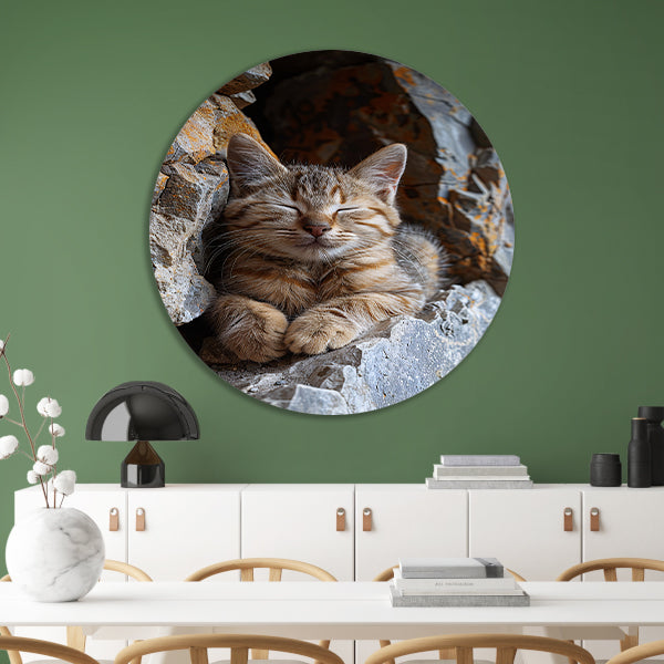 Jonge kat slaapt vredig tussen rotsen aluminium muurcirkel