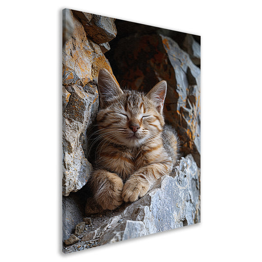 Jonge kat slaapt vredig tussen rotsen canvas