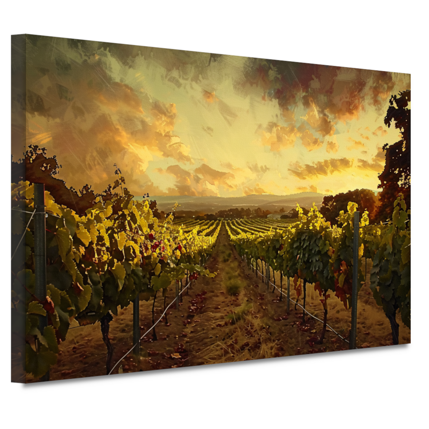 Herfstzon gloeit over golvende wijngaard canvas