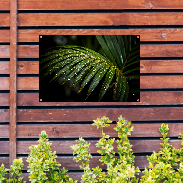 Blad met waterdruppels in close-up tuinposter
