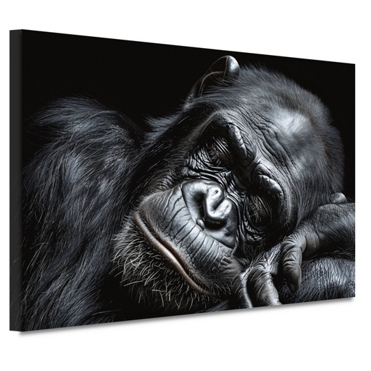 De stille contemplatie van een gorilla canvas