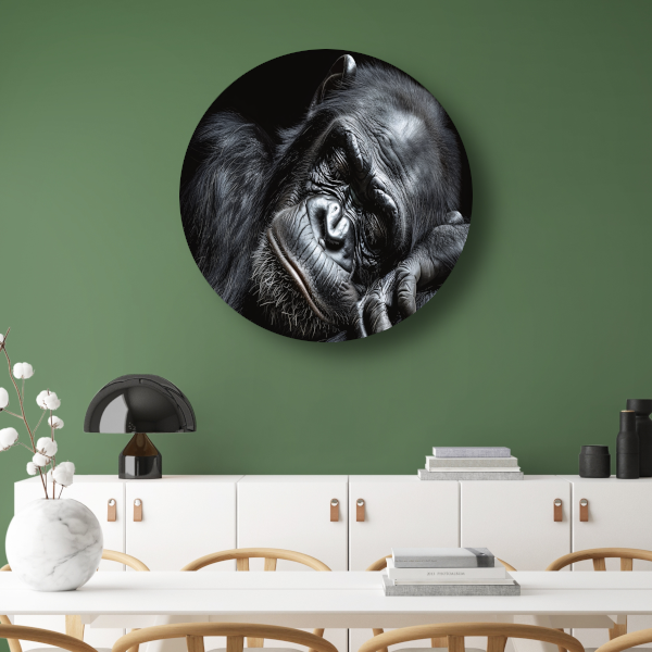 De stille contemplatie van een gorilla aluminium muurcirkel