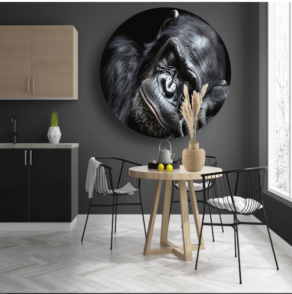 De stille contemplatie van een gorilla aluminium muurcirkel