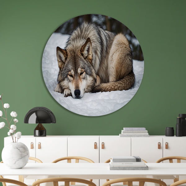 Slapende wolf in winterlandschap forex muurcirkel