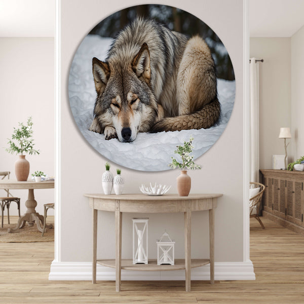 Slapende wolf in winterlandschap forex muurcirkel